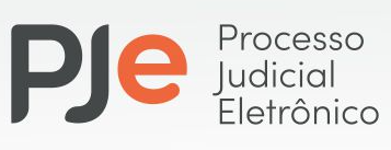 Processo Judicial Eletrônico